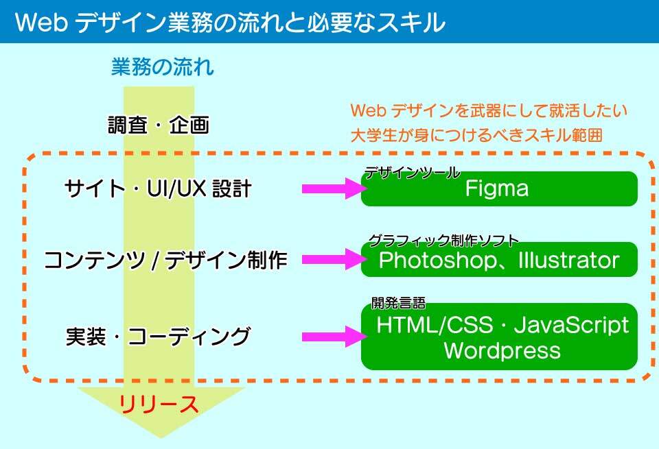 Webデザイン業務の工程とスキル。大学生が就活のために学ぶなら広範囲のスキルを学習しておくと有利になる。